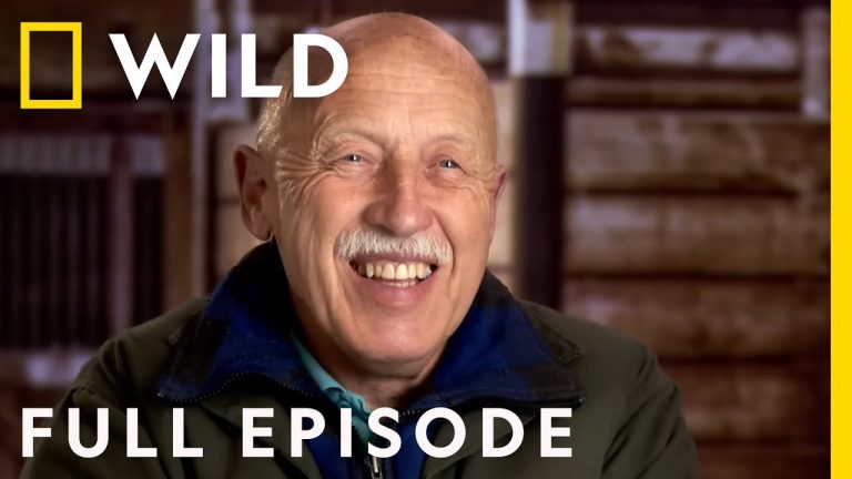 Die Serie Dr Pol von Mediafire herunterladen