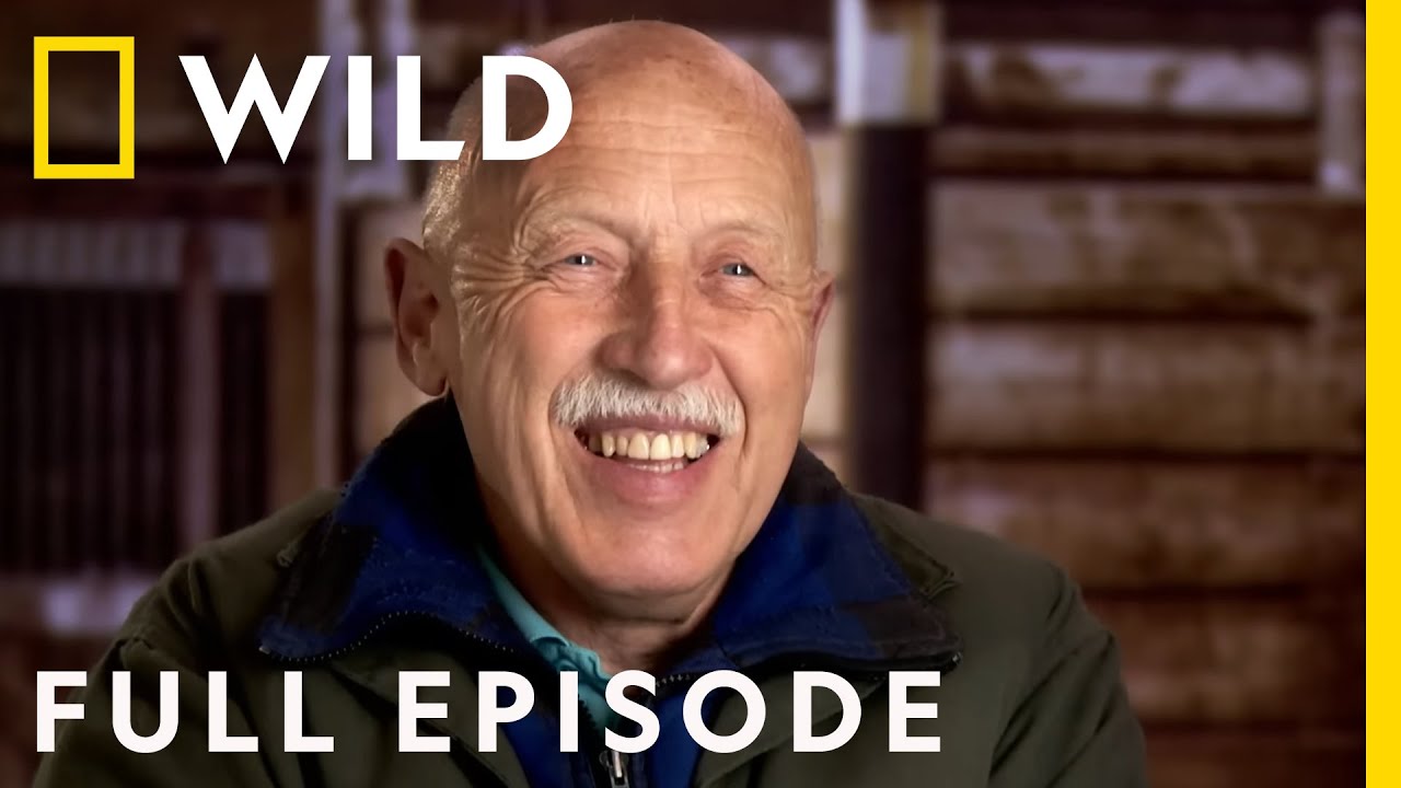 Die Serie Dr Pol von Mediafire herunterladen Die Serie Dr Pol von Mediafire herunterladen