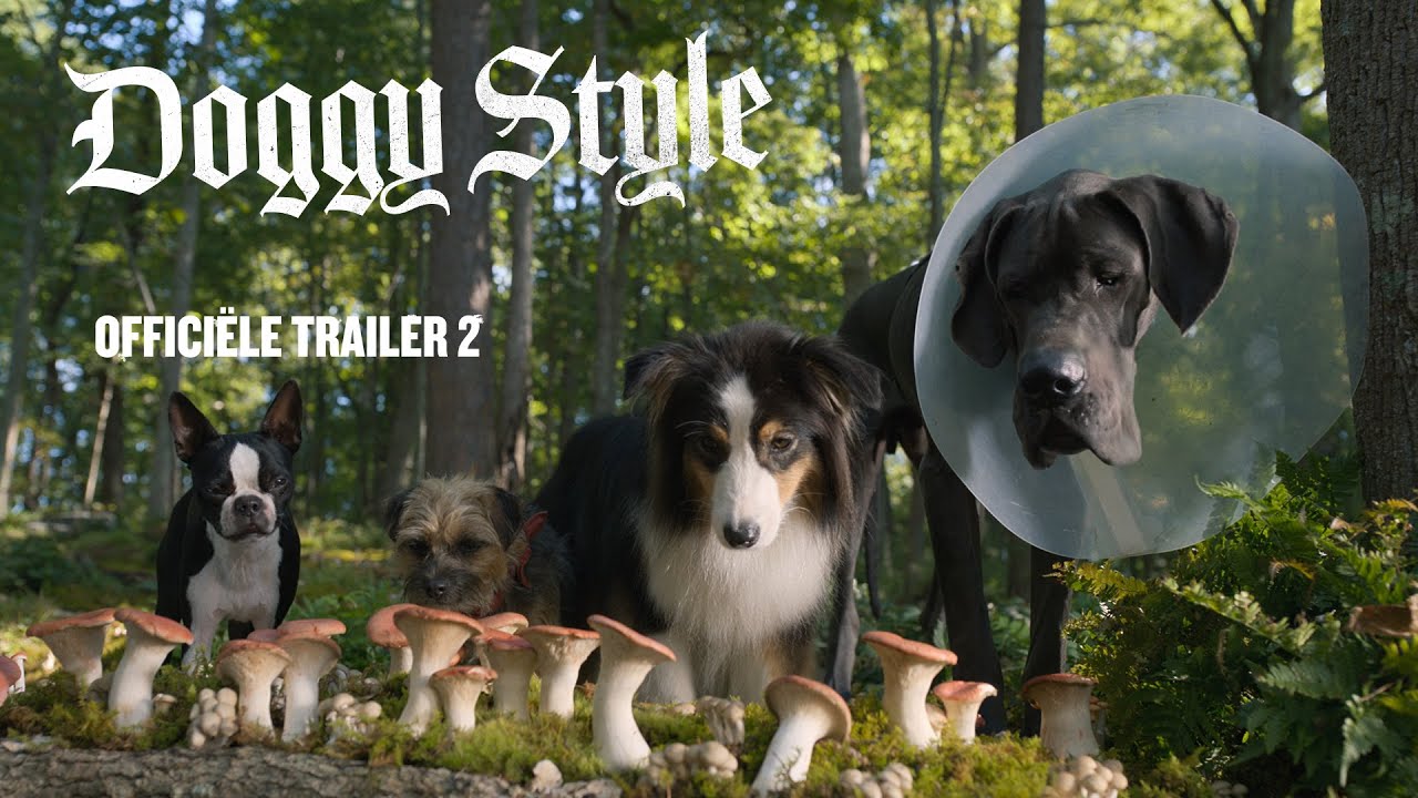 Den Film Doggystyles von Mediafire herunterladen Den Film Doggystyles von Mediafire herunterladen