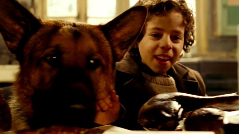 Den Film Rintintin Filme von Mediafire herunterladen