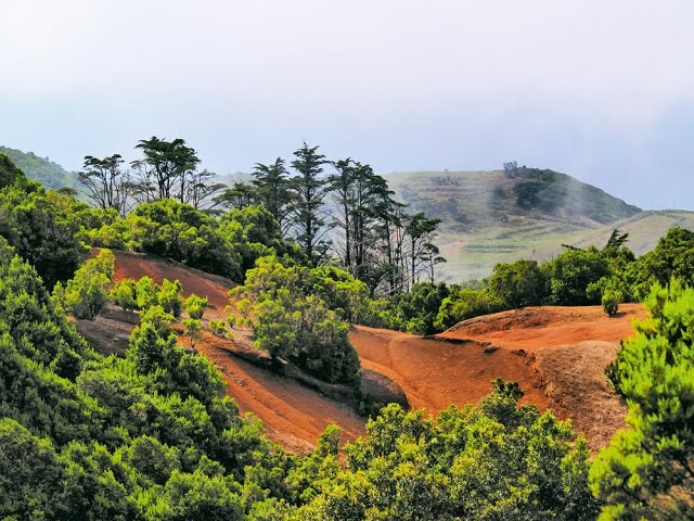 Die Serie El Hierro Mord Auf Den Kanarischen Inseln von Mediafire herunterladen Die Serie El Hierro Mord Auf Den Kanarischen Inseln von Mediafire herunterladen