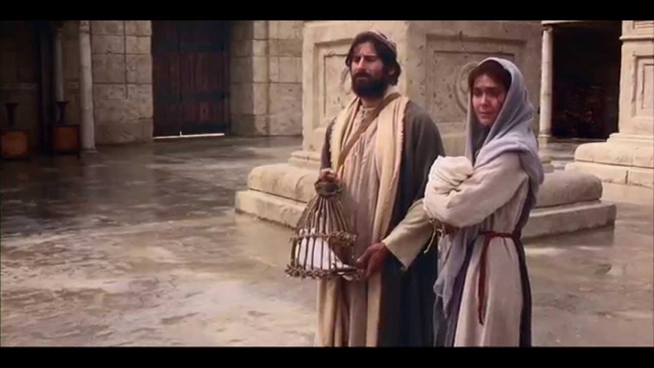 Download the The Nativity Of Jesus movie from Mediafire Download the The Nativity Of Jesus movie from Mediafire