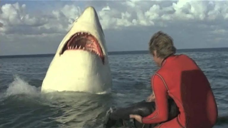 Download Jaws 2 Movie