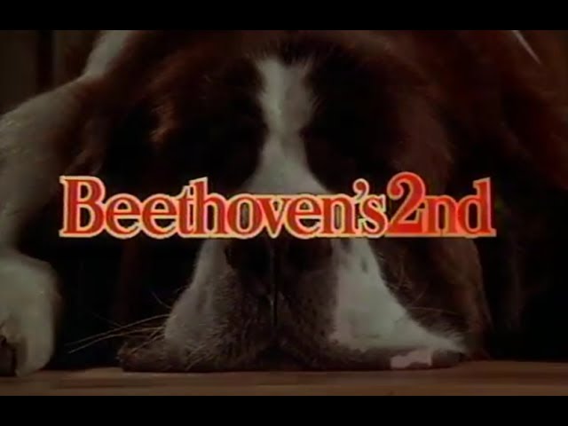 Download Beethoven's 2nd Movie