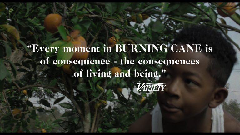 Download Burning Cane Movie