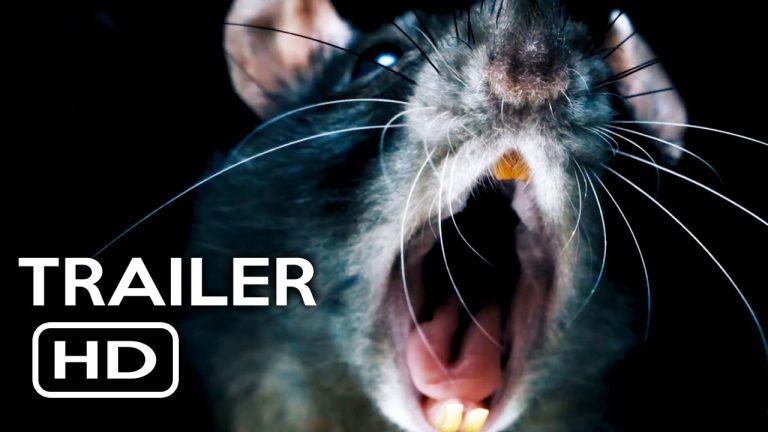 Download the Rats Netflix Documentary movie from Mediafire