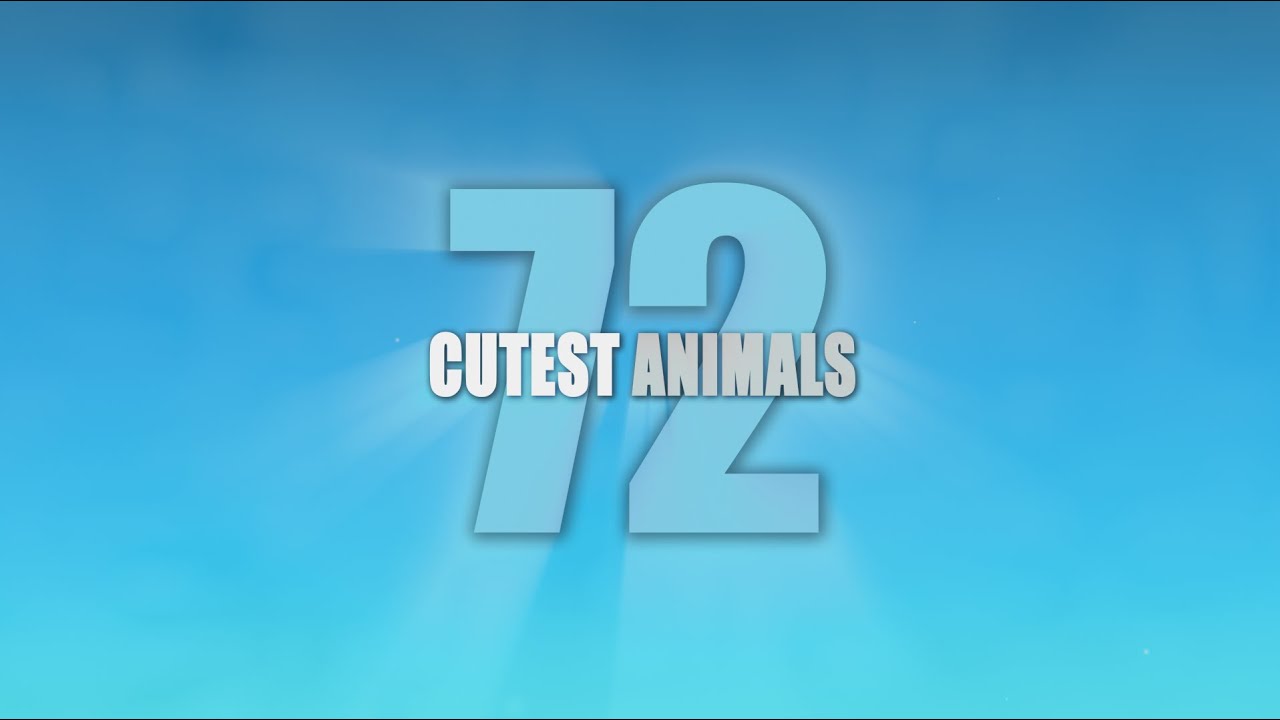 Download 72 Cutest Animals TV Show