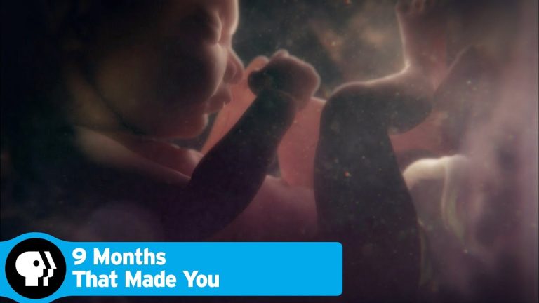 Download 9 Months That Made You TV Show