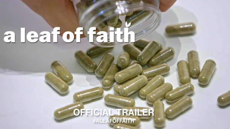 Download A Leaf of Faith Movie