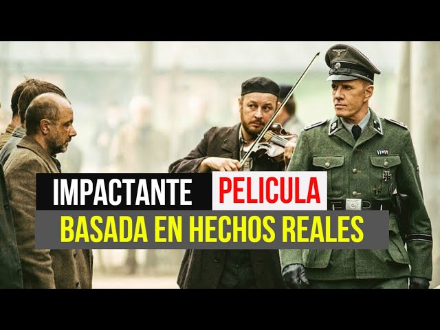 Download Belgica Movie