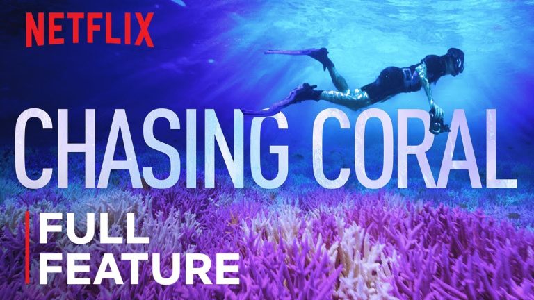 Download Chasing Coral Movie