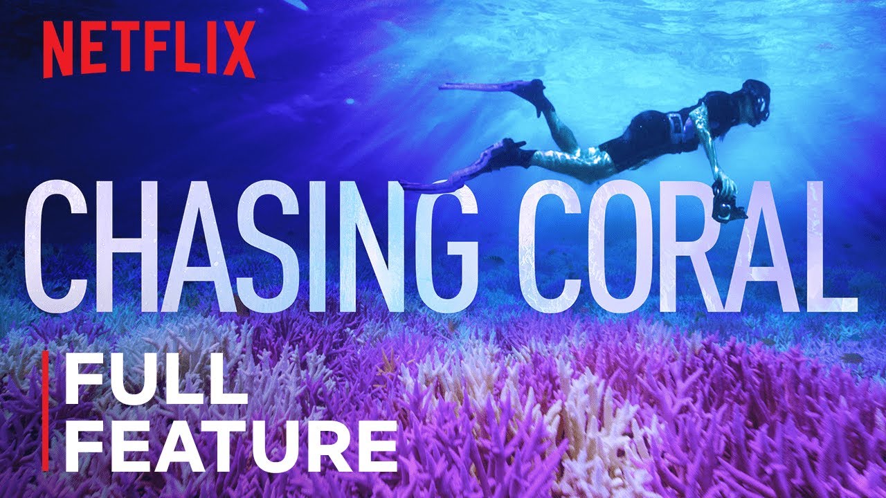 Download Chasing Coral Movie