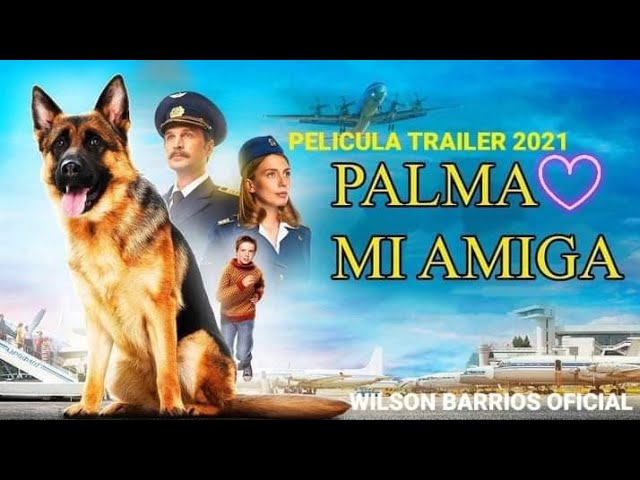 Download De Palma Movie