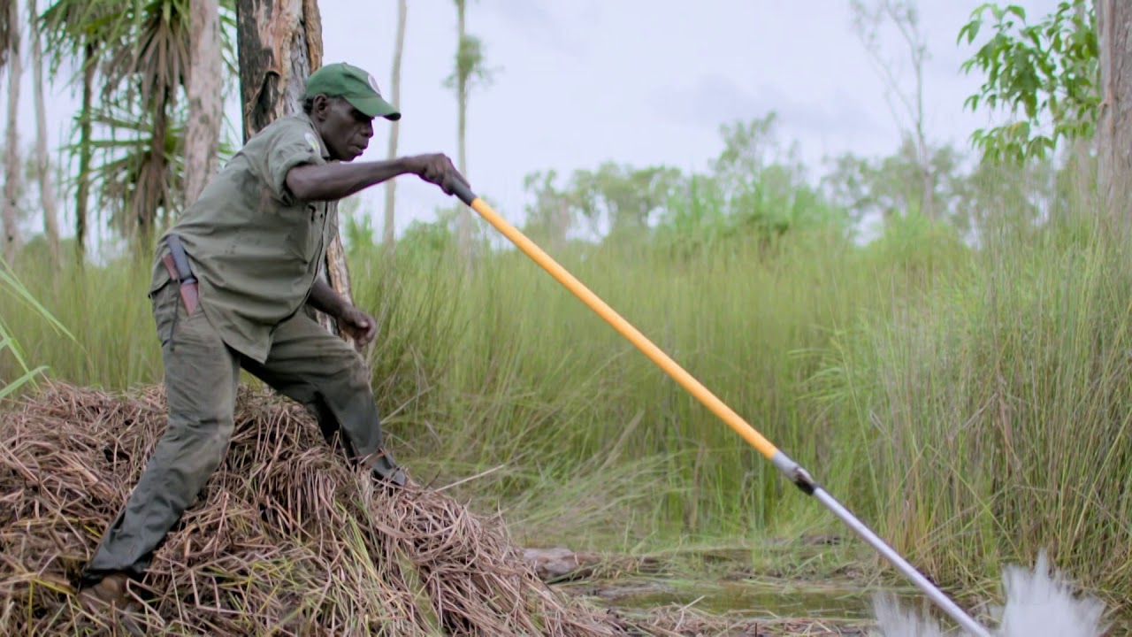 Download Earth's Natural Wonders: Life at the Extremes TV Show