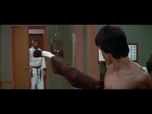 Download Enter the Dragon Movie