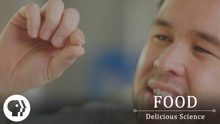 Download Food: Delicious Science TV Show