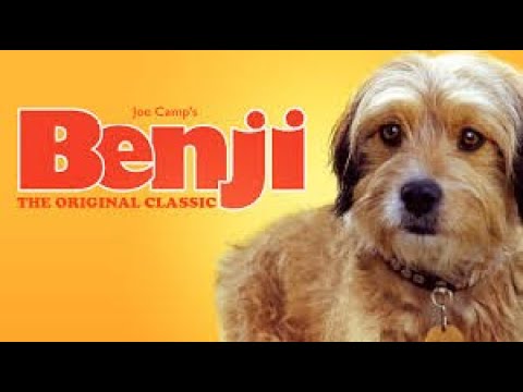 Download For the Love of Benji Movie