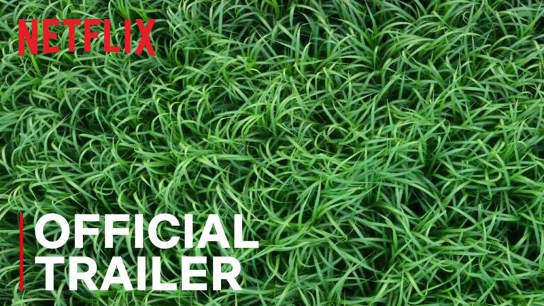 Download Grass Movie