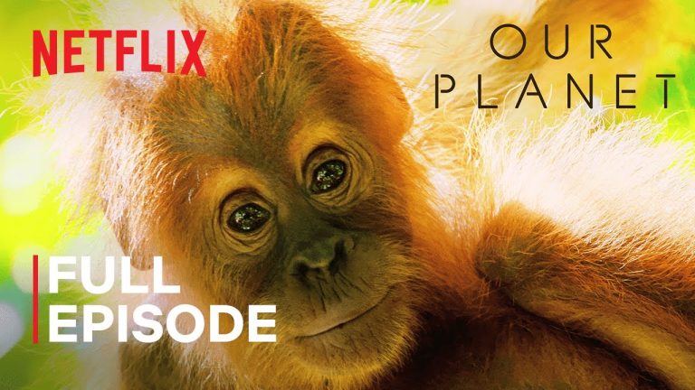 Download Monkey Planet TV Show