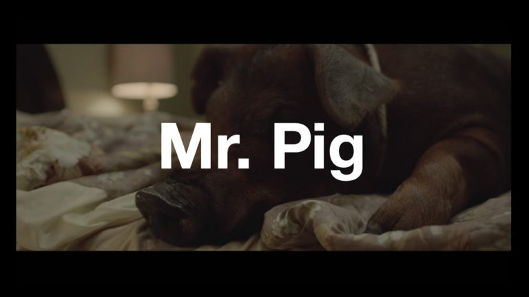 Download Mr. Pig Movie