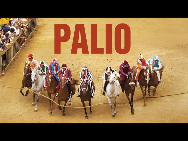 Download Palio Movie