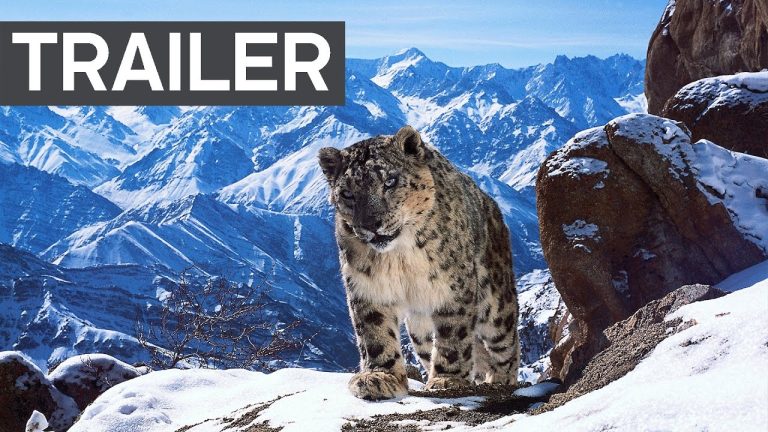 Download Planet Earth II TV Show