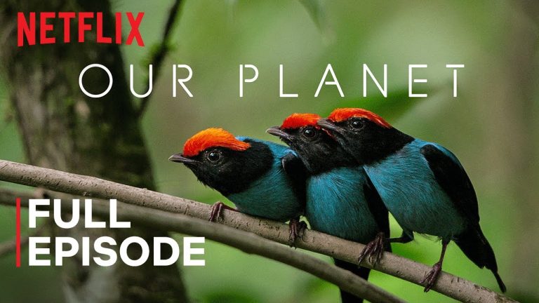 Download Planet Earth: The Complete Collection TV Show