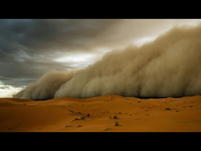 Download Sand Storm Movie