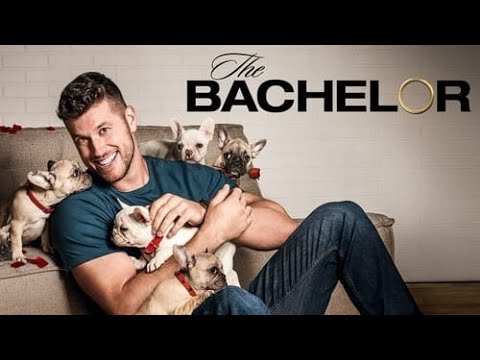 Download The Bachelor TV Show