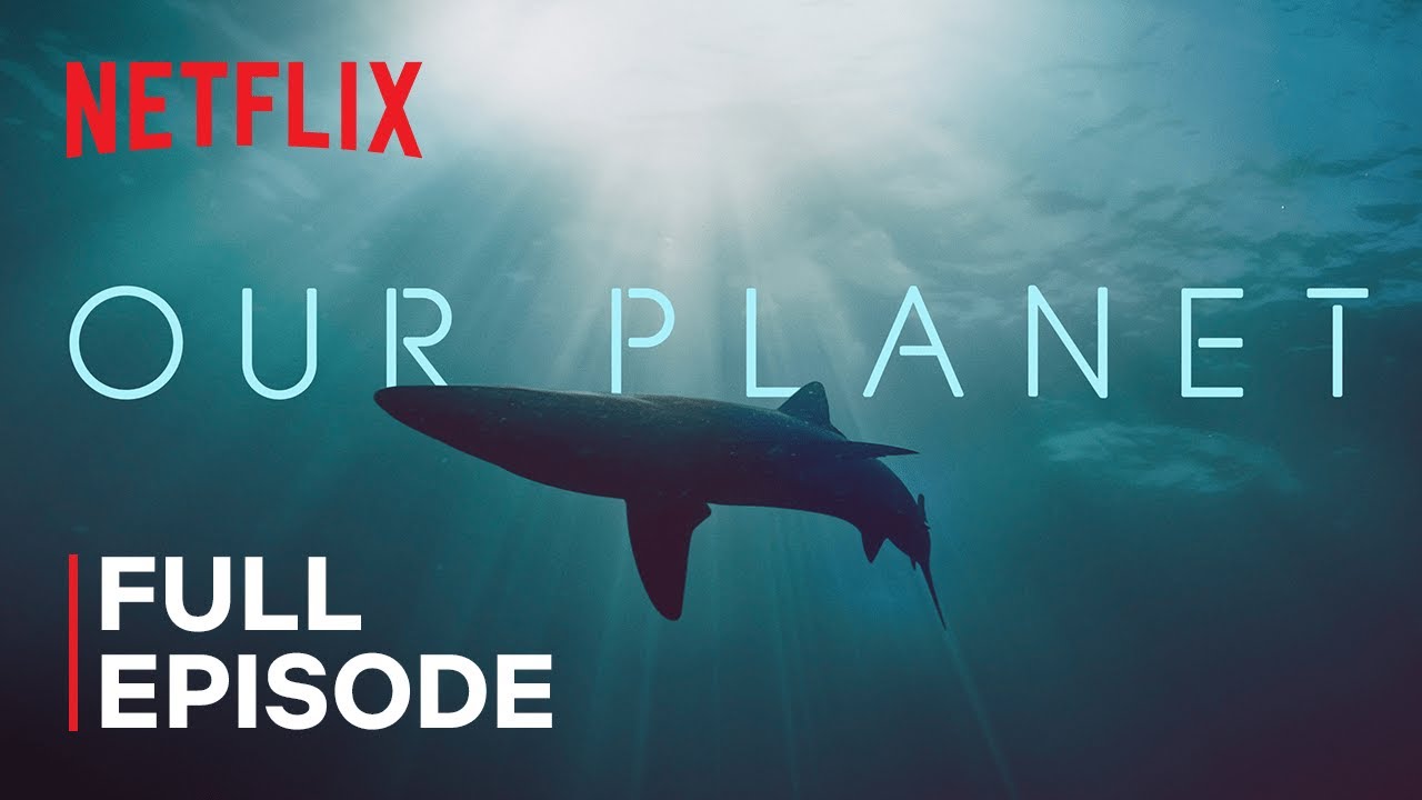 Download The Blue Planet: A Natural History of the Oceans TV Show