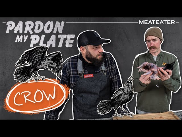 Download the Pardon My Plate series from Mediafire