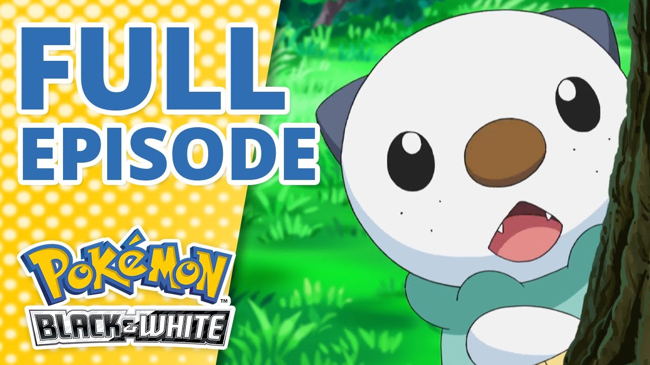 Download the Pokemon Black & White Episode 1 series from Mediafire