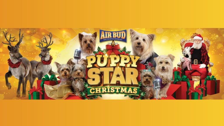 Download the Pup Star Christmas Cast movie from Mediafire