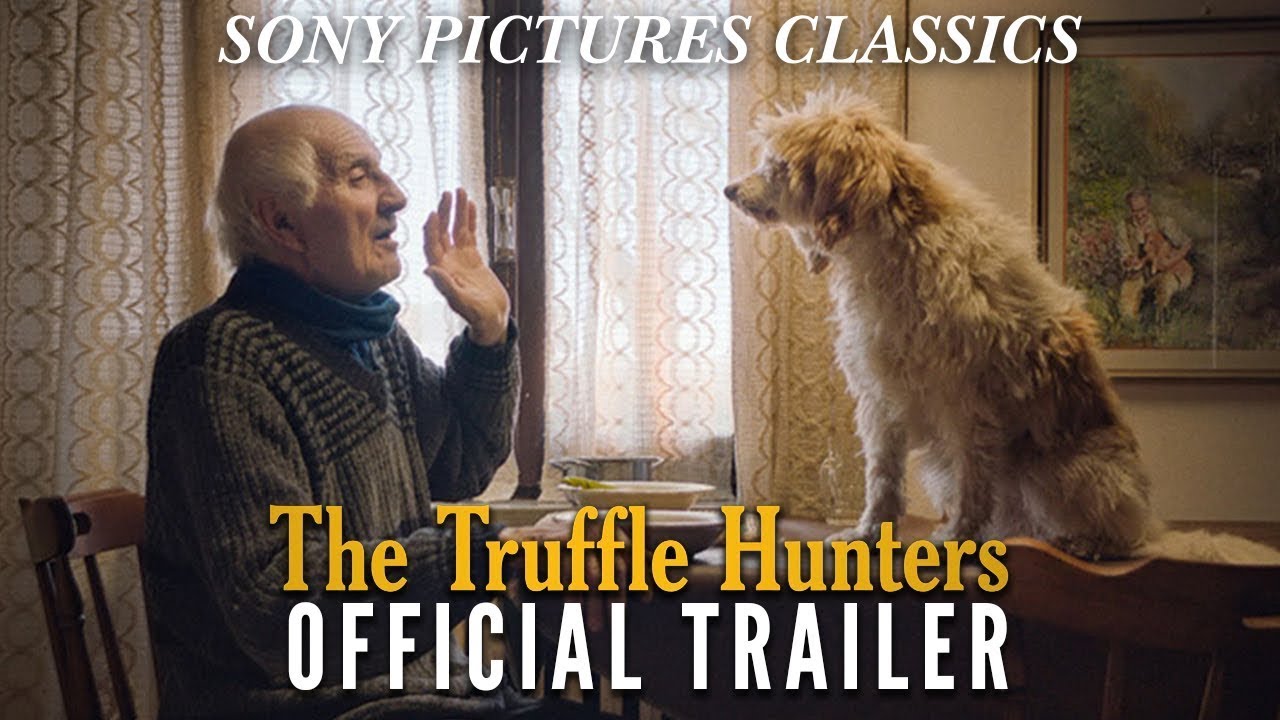 Download the The Truffle Hunters movie from Mediafire