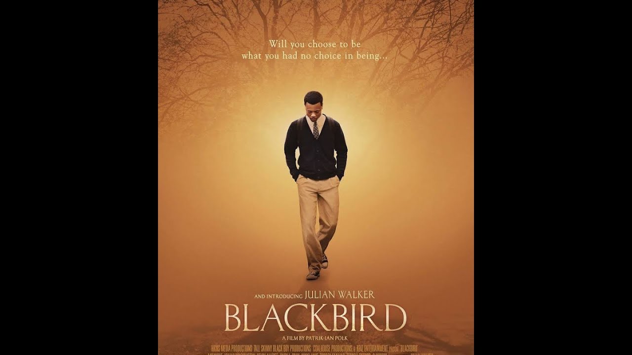 Download the Watch Blackbird 2014 movie from Mediafire