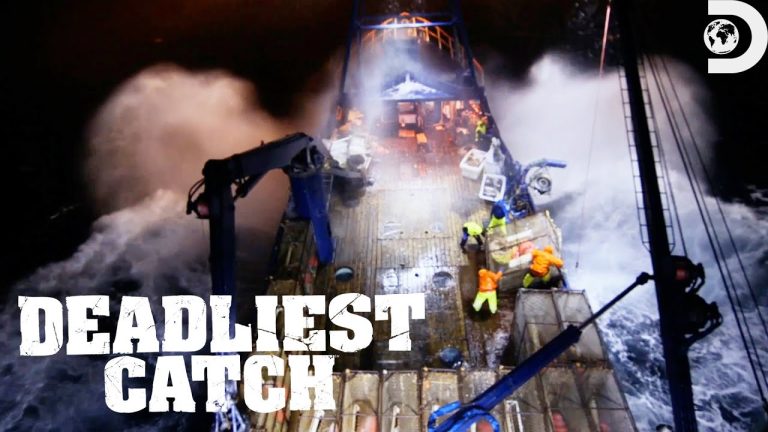 Download the When Is Deadliest Catch New Season series from Mediafire