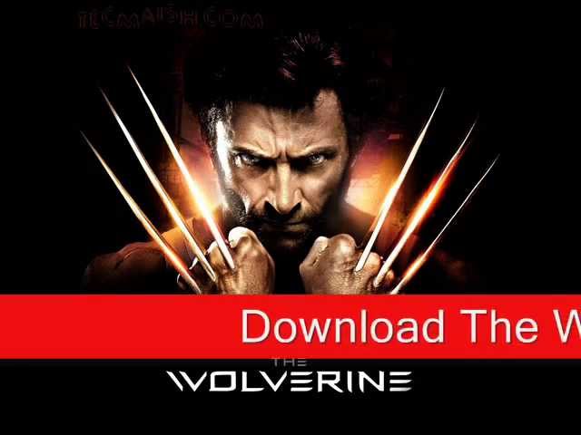 Download the The Wolverine 2013 Cast movie from Mediafire