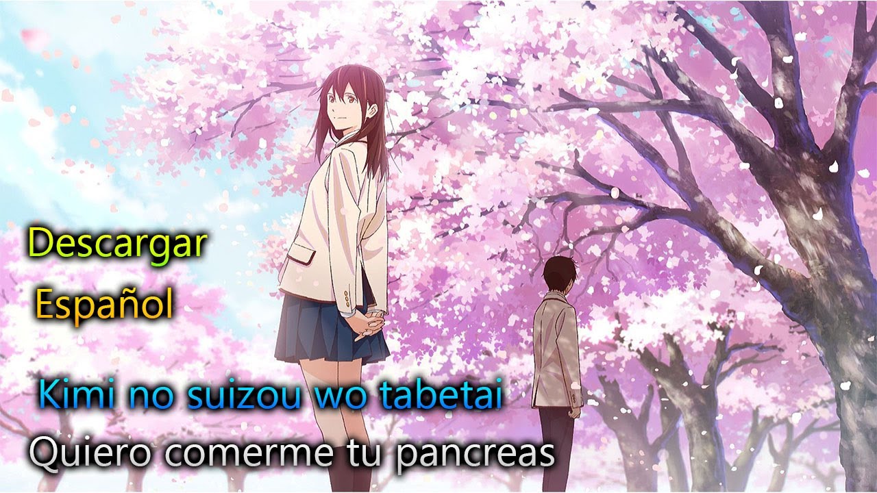 Kimi no Suizou wo Tabetai anime mediafire download