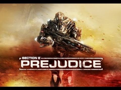 Section 8 Prejudice Review