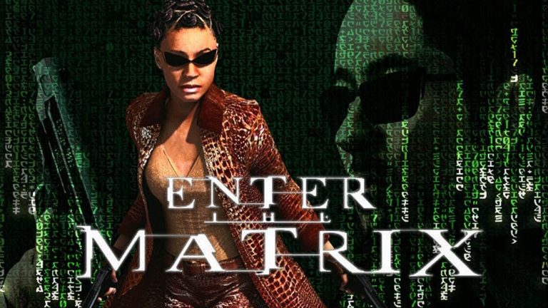 Enter the Matrix Review