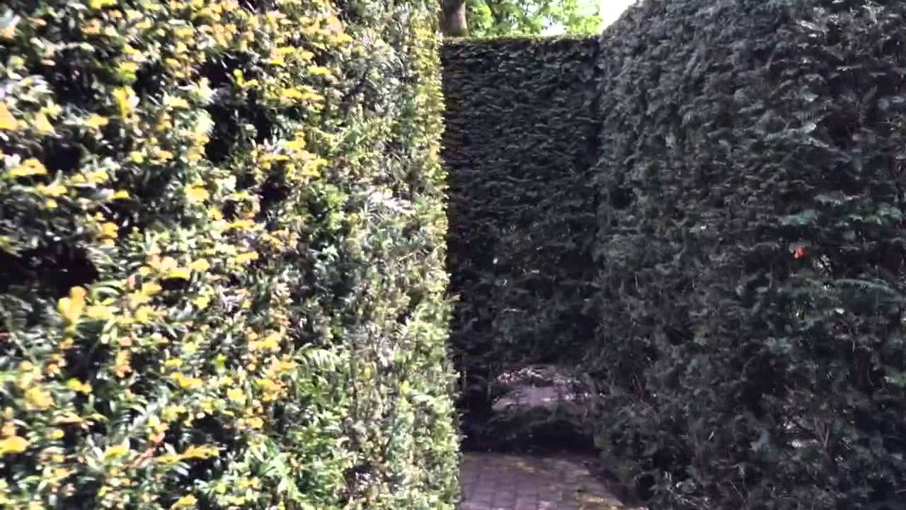 Escape from the Hedge Maze of Flosdorf