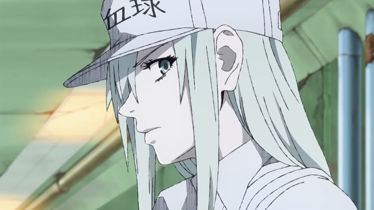 Hataraku Saibou Black CM anime mediafire download