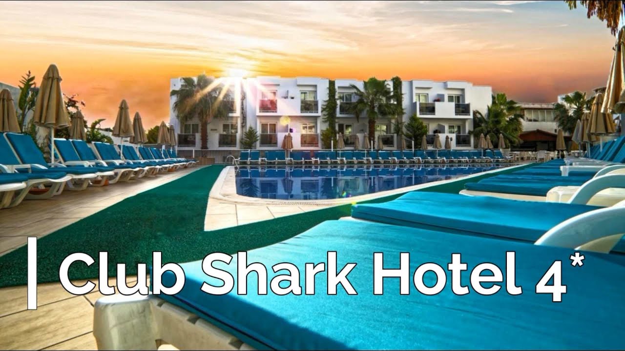 Shark Hotel