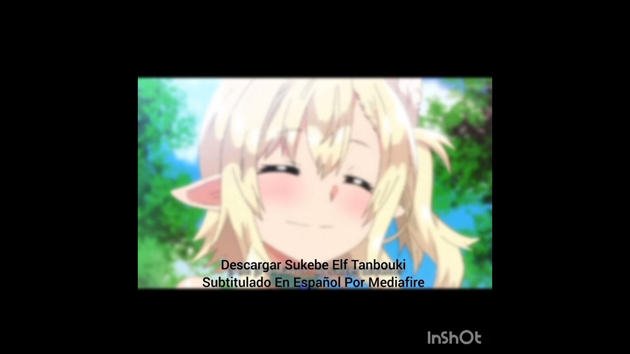 Sukebe Elf Tanbouki anime mediafire download