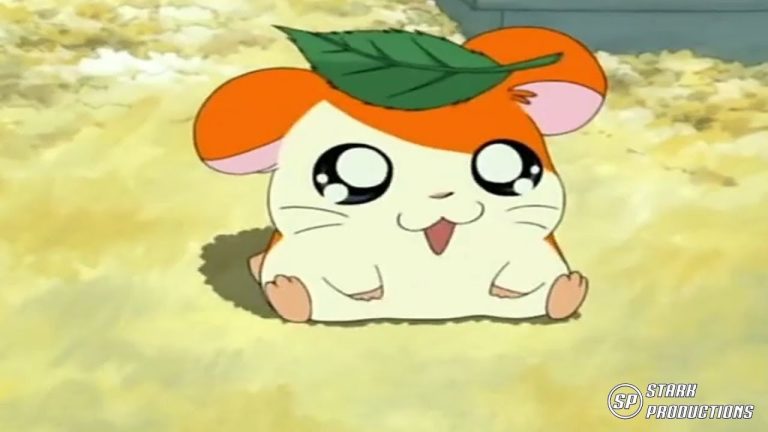 Tottoko Hamtarou OVA 1: Hamtaro no Otanjoubi - Mama wo Tasunete Sanzen Techi Techi anime mediafire download