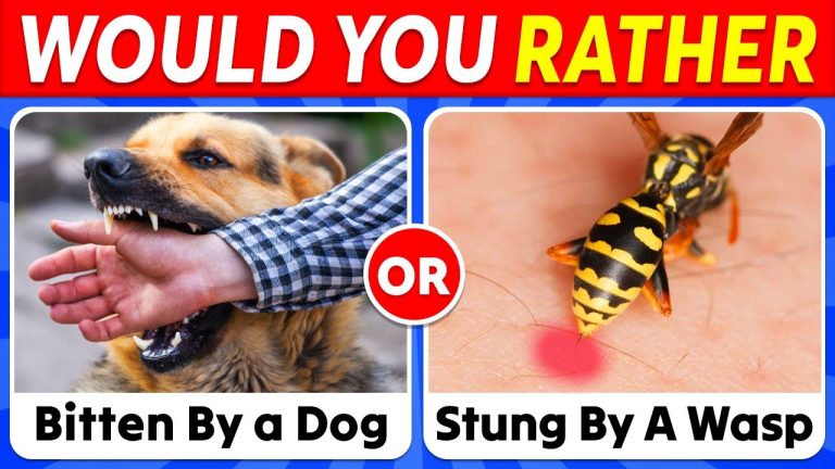 Would You Rather?