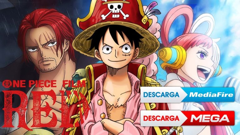 Télécharger le film One Piece Streming depuis Mediafire