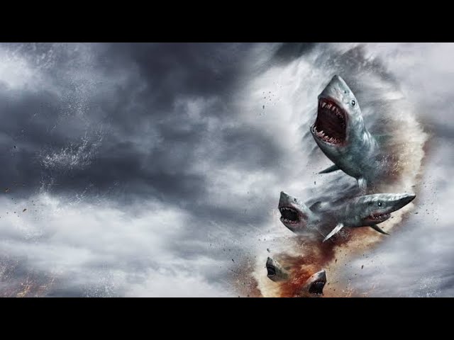 Baixar o filme Cinema Sharknado pelo Mediafire