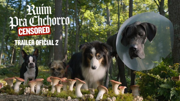 Baixar o filme Ruim Pra Cachorro Classificação Indicativa pelo Mediafire