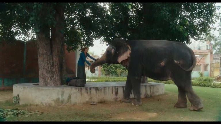 Baixar o filme Comer Rezar Amar Cinema pelo Mediafire